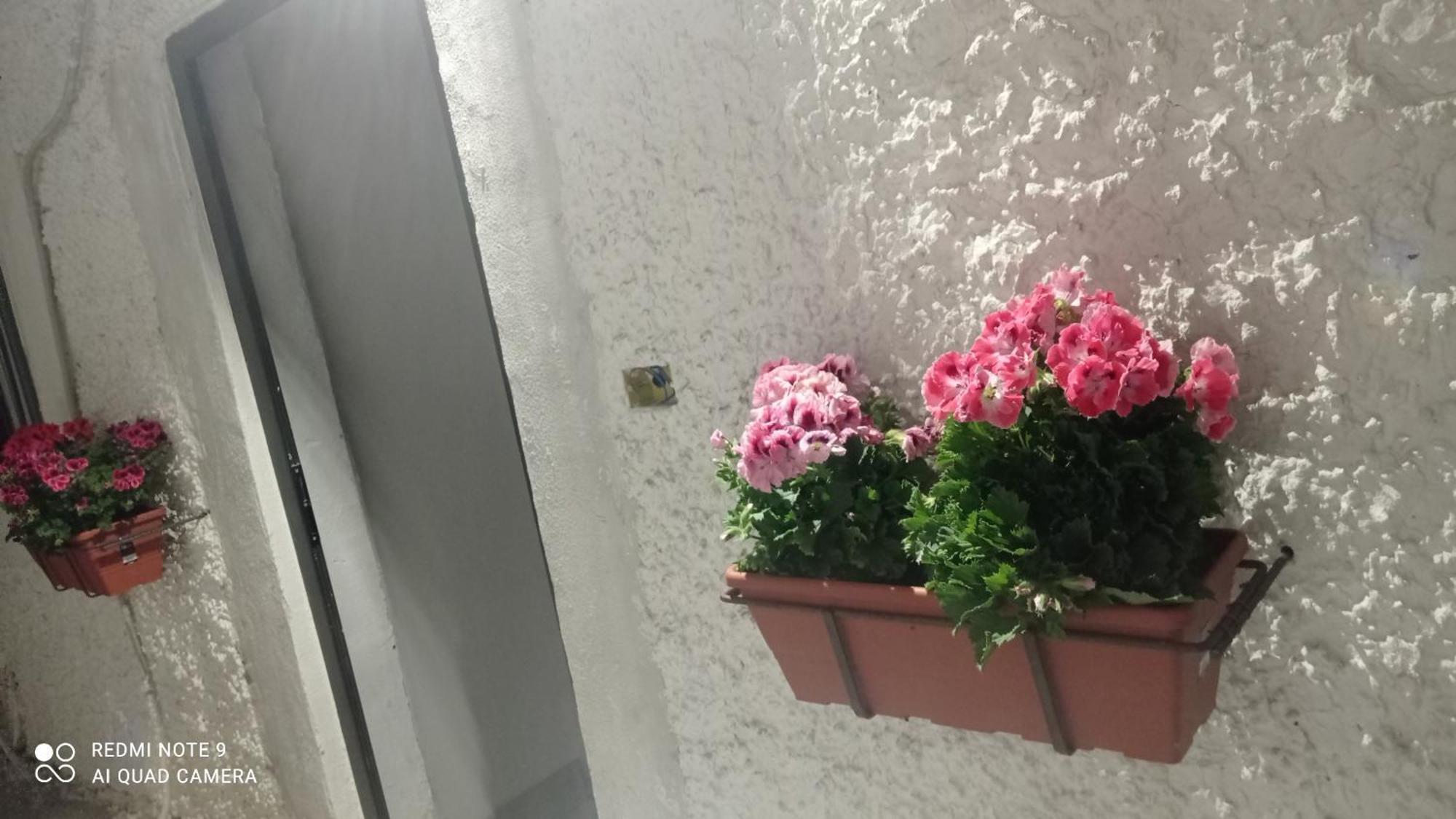 Ortensia C House Villa Catania Esterno foto