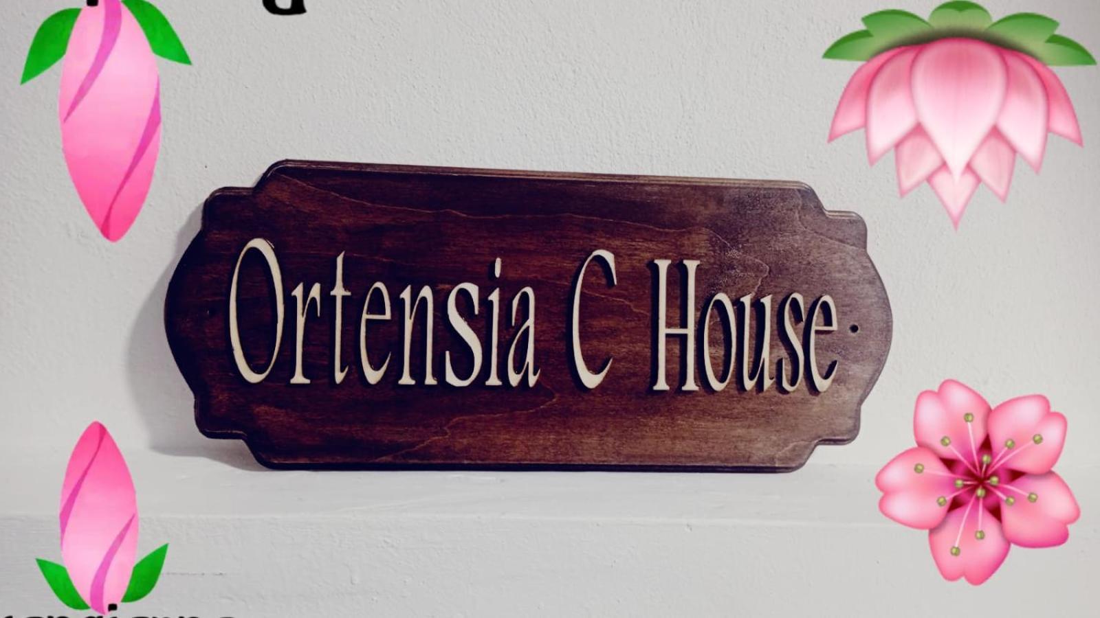 Ortensia C House Villa Catania Esterno foto